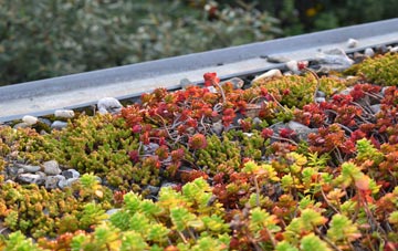 the cost of Chewton Mendip green roof installation