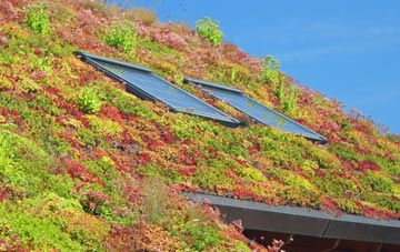 Chewton Mendip living roof systems