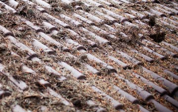 Chewton Mendip roof cleaning companies