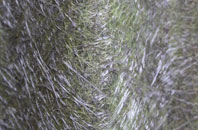 Chewton Mendip fibreglass roof work